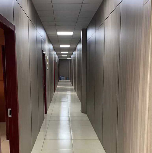 Hongze Gölü Tıbbi ve Hemşirelik Entegrasyon Projesi